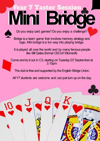Mini Bridge Poster Pink